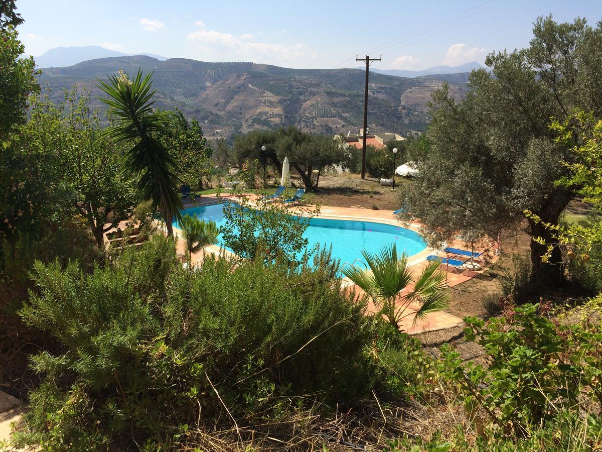 Villa Joanna Palace Club